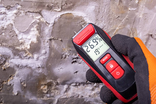 Best Local Mold Removal Service  in Brentwood, TN
